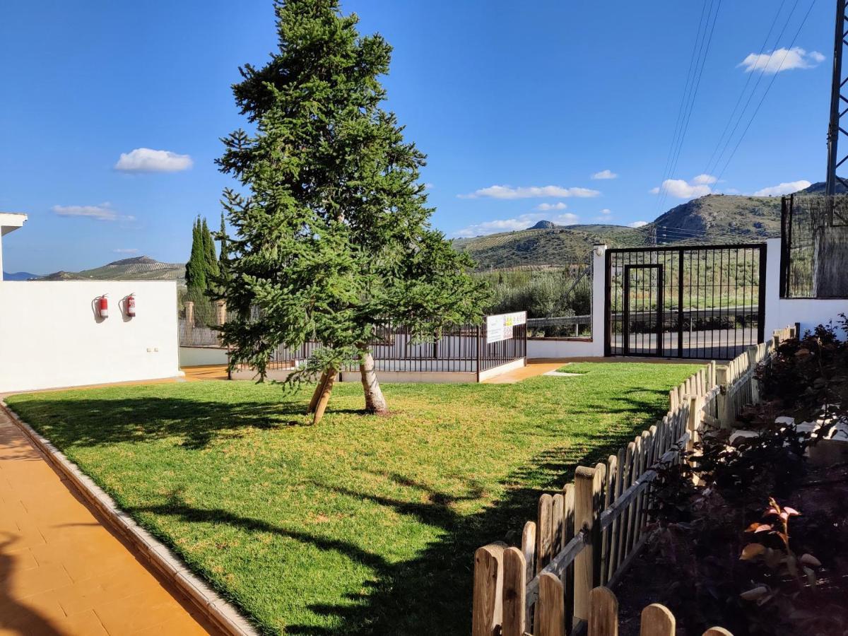 Apartamento Rural Villa Aurora Luque المظهر الخارجي الصورة